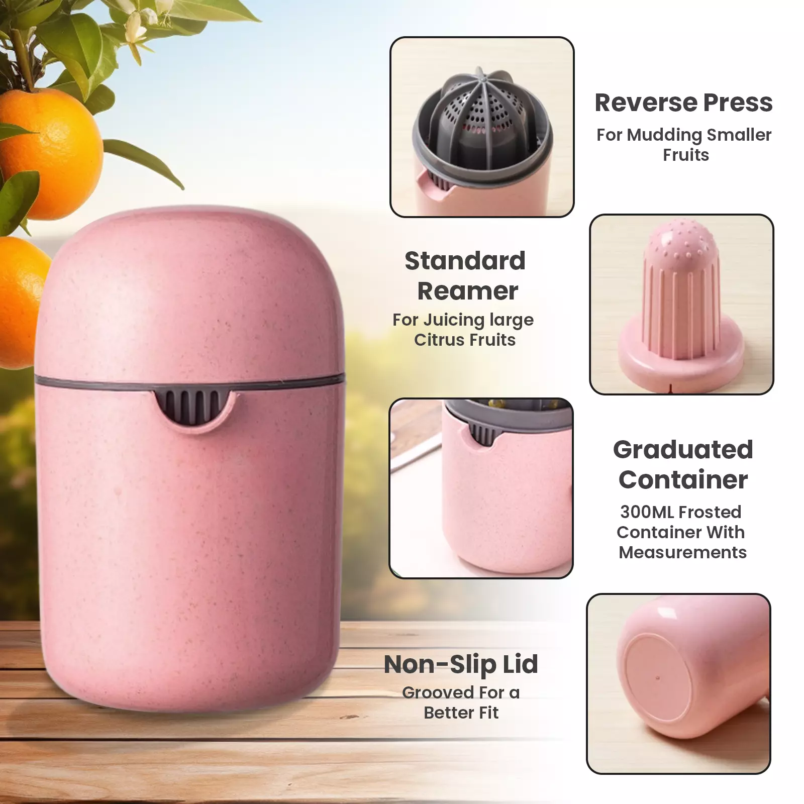 AEX Manual Juicer For All Citrus Fruits