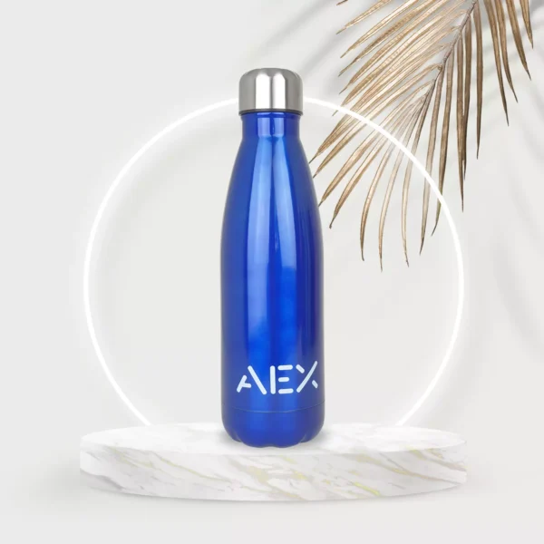 AEX Blue Insulated Stainless Steel Water Bottle 500ml 1000ml