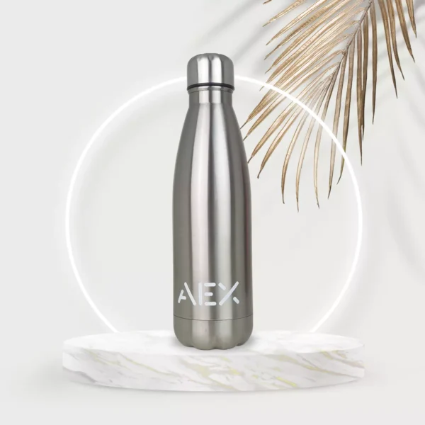 AEX Insulated Stainless Steel Water Bottle 500ml 1000ml (Silver/Grey)